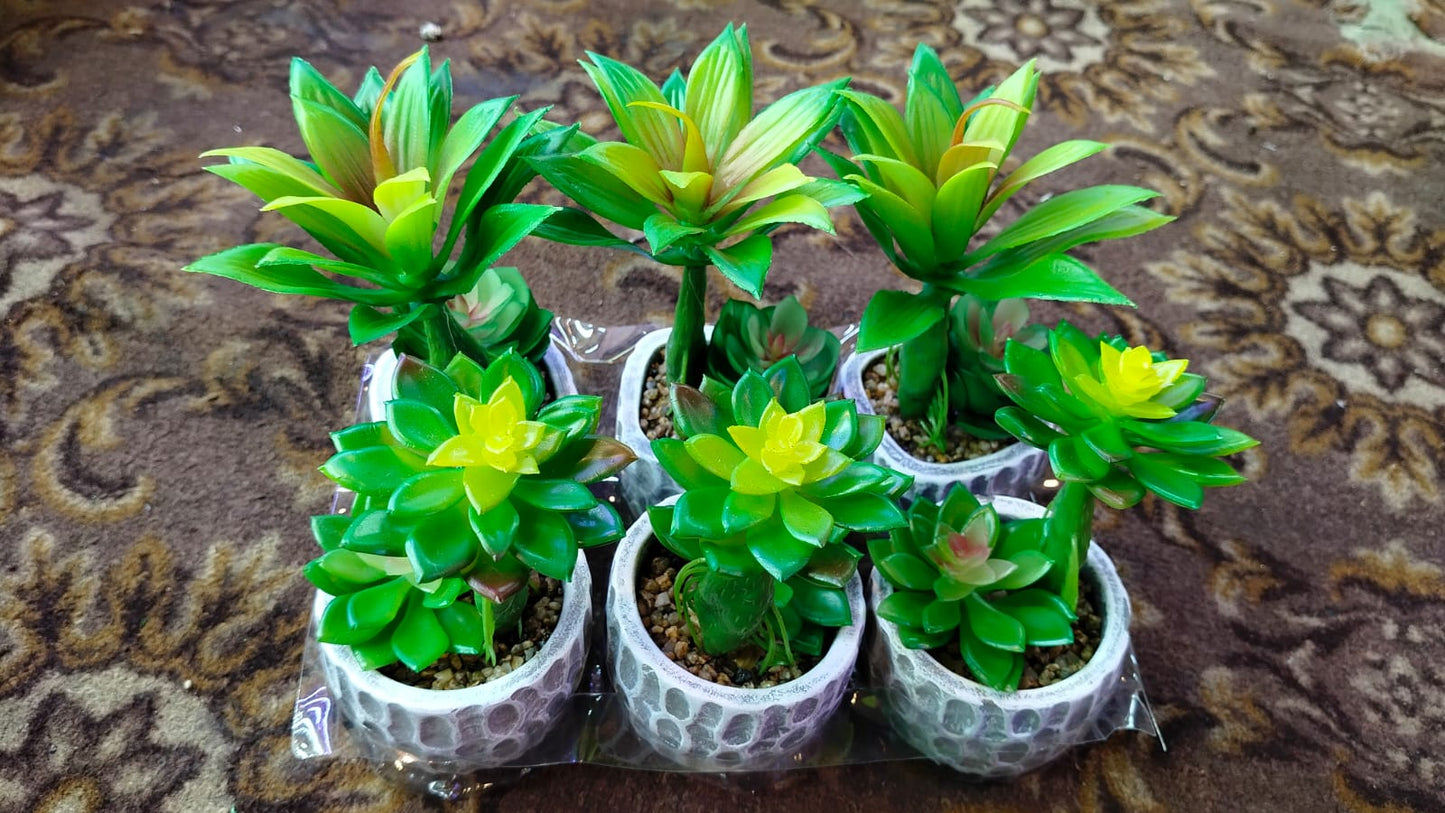 Ceramic plant pots