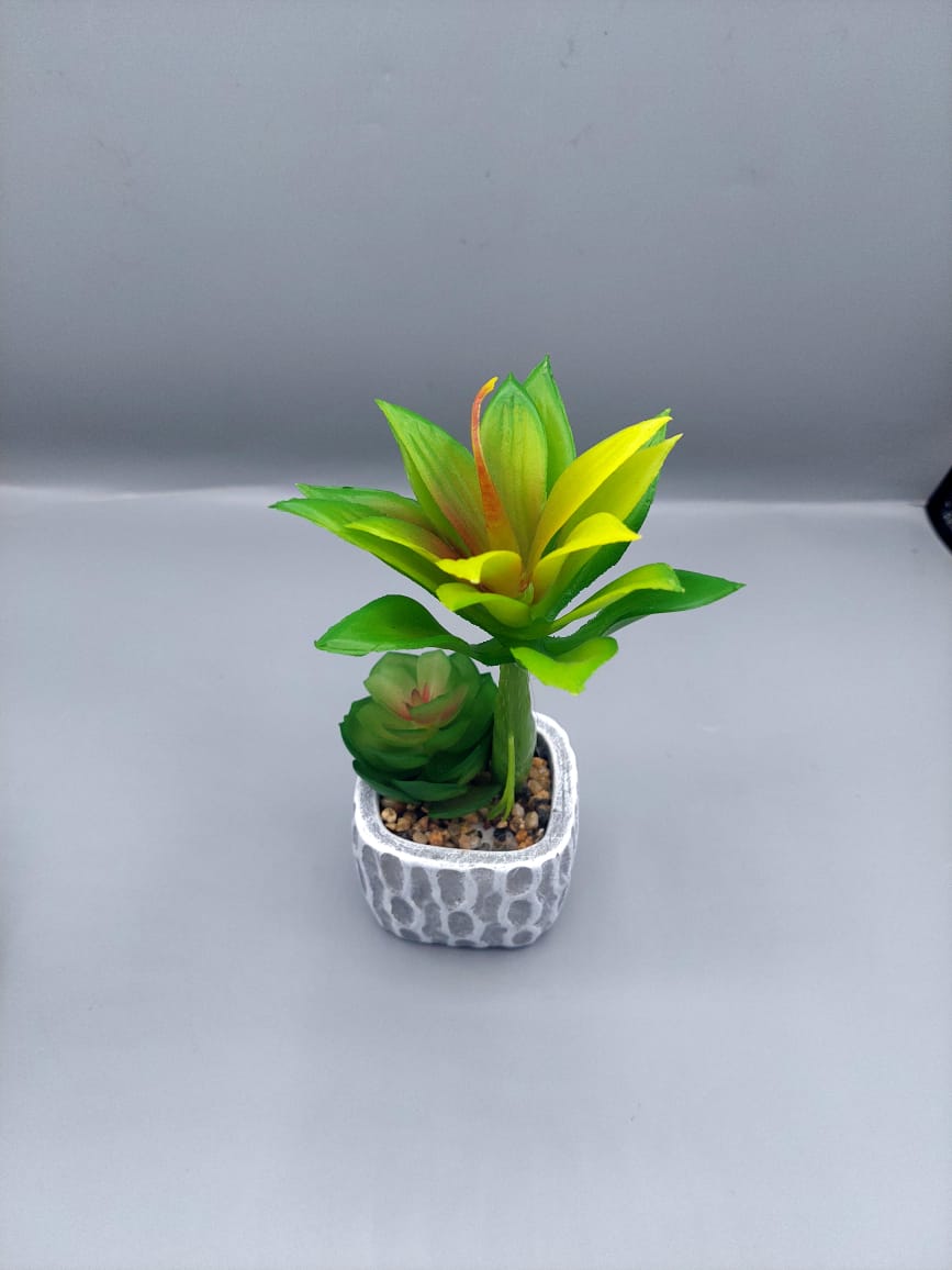 Ceramic plant pots
