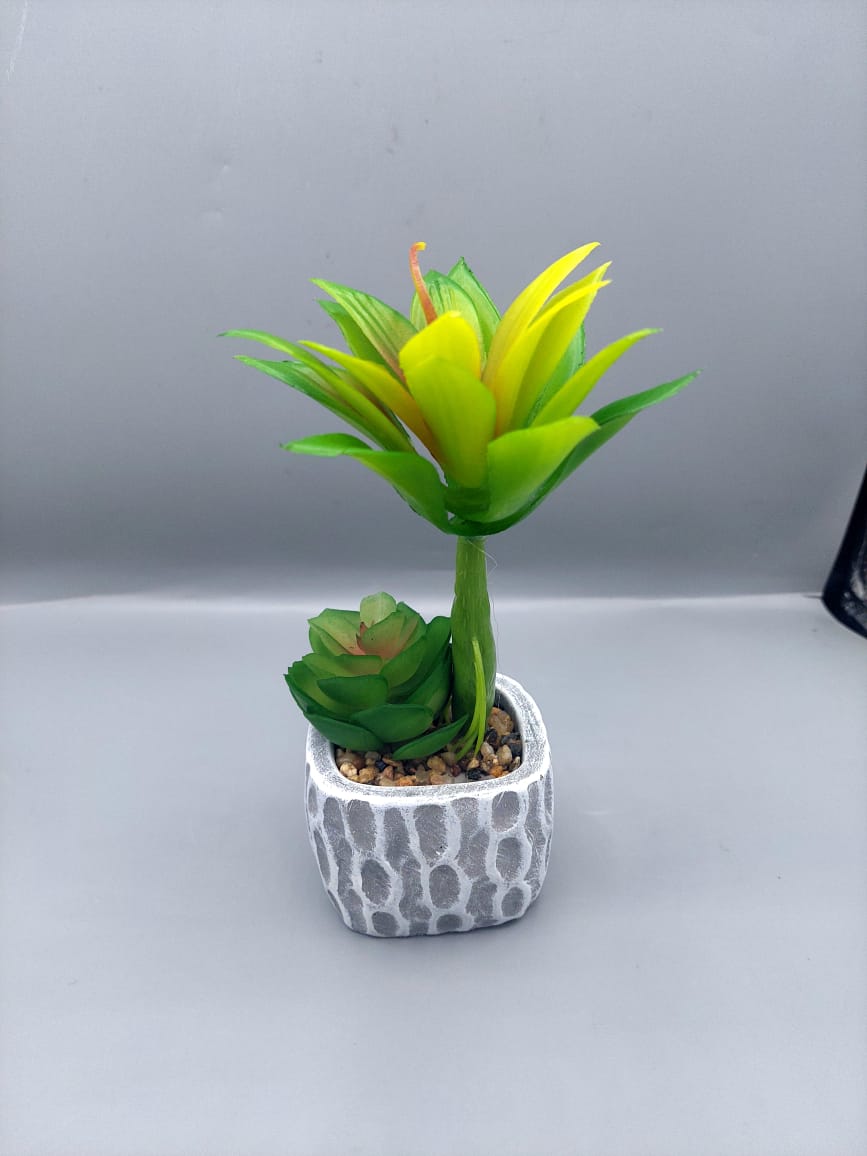 Ceramic plant pots