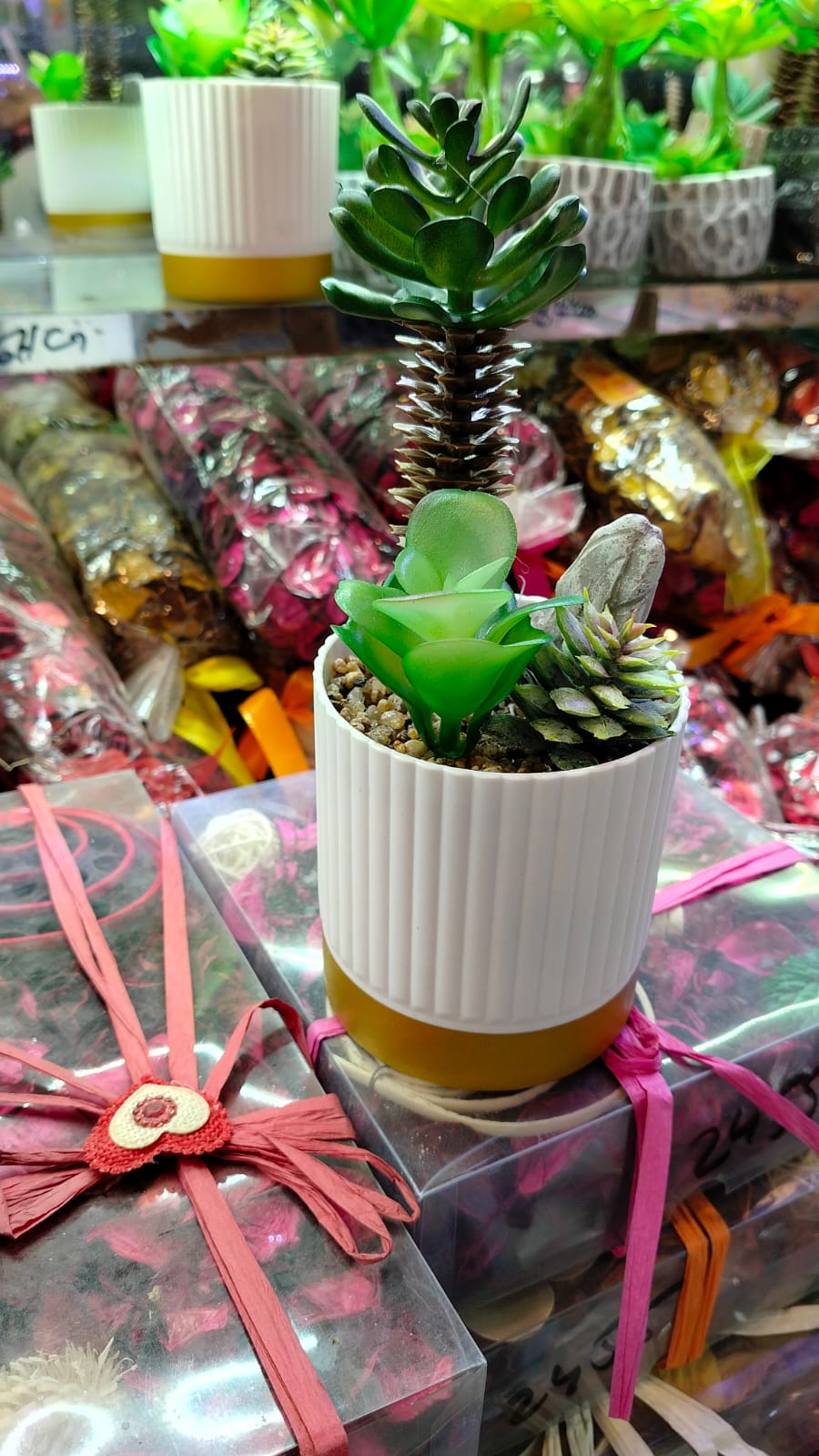 Ceramic plant pots