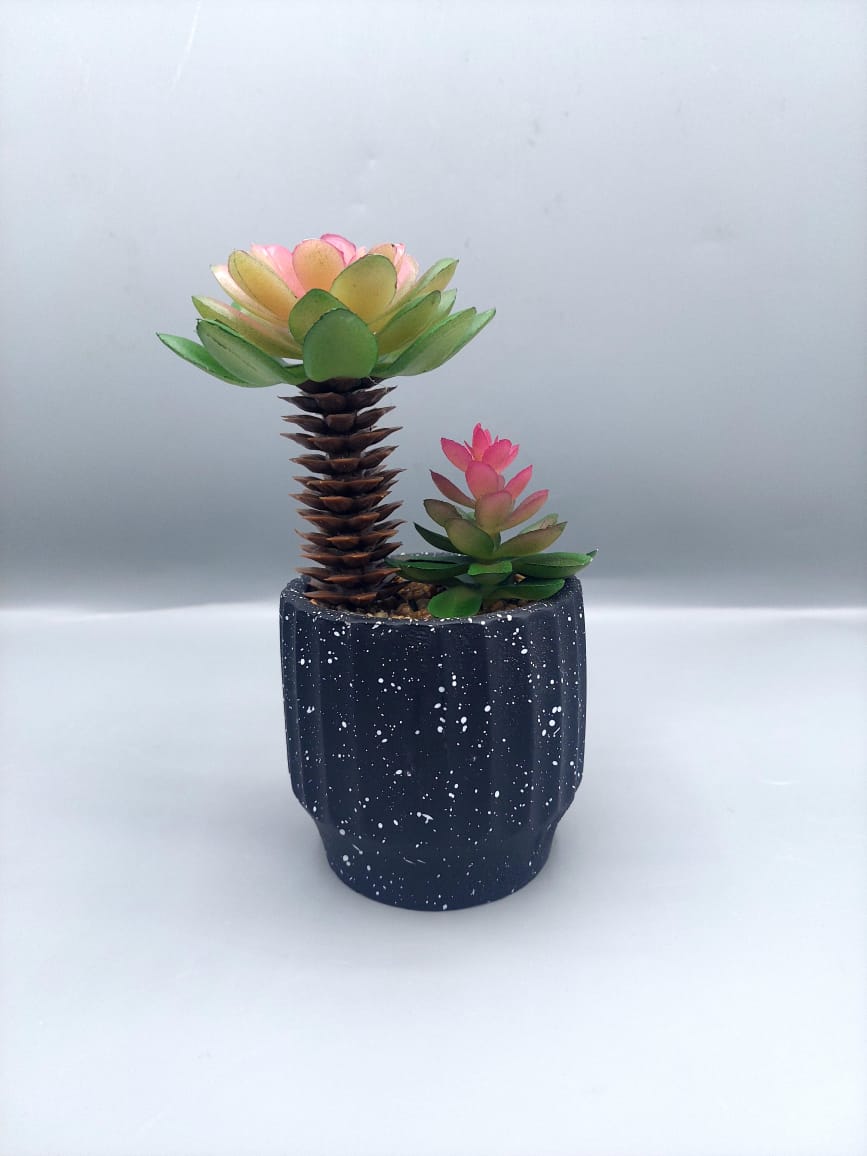 Ceramic plant pots