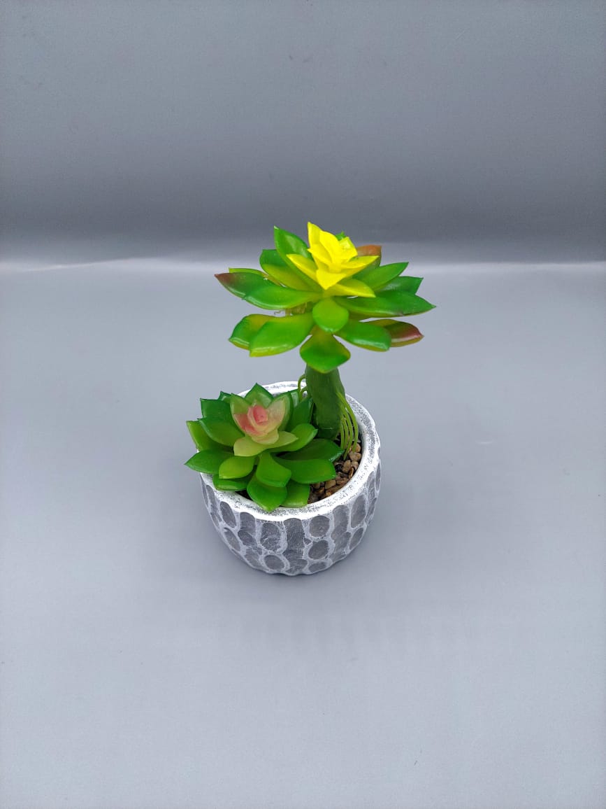 Ceramic plant pots