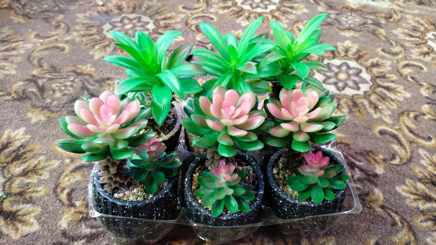 Ceramic plant pots