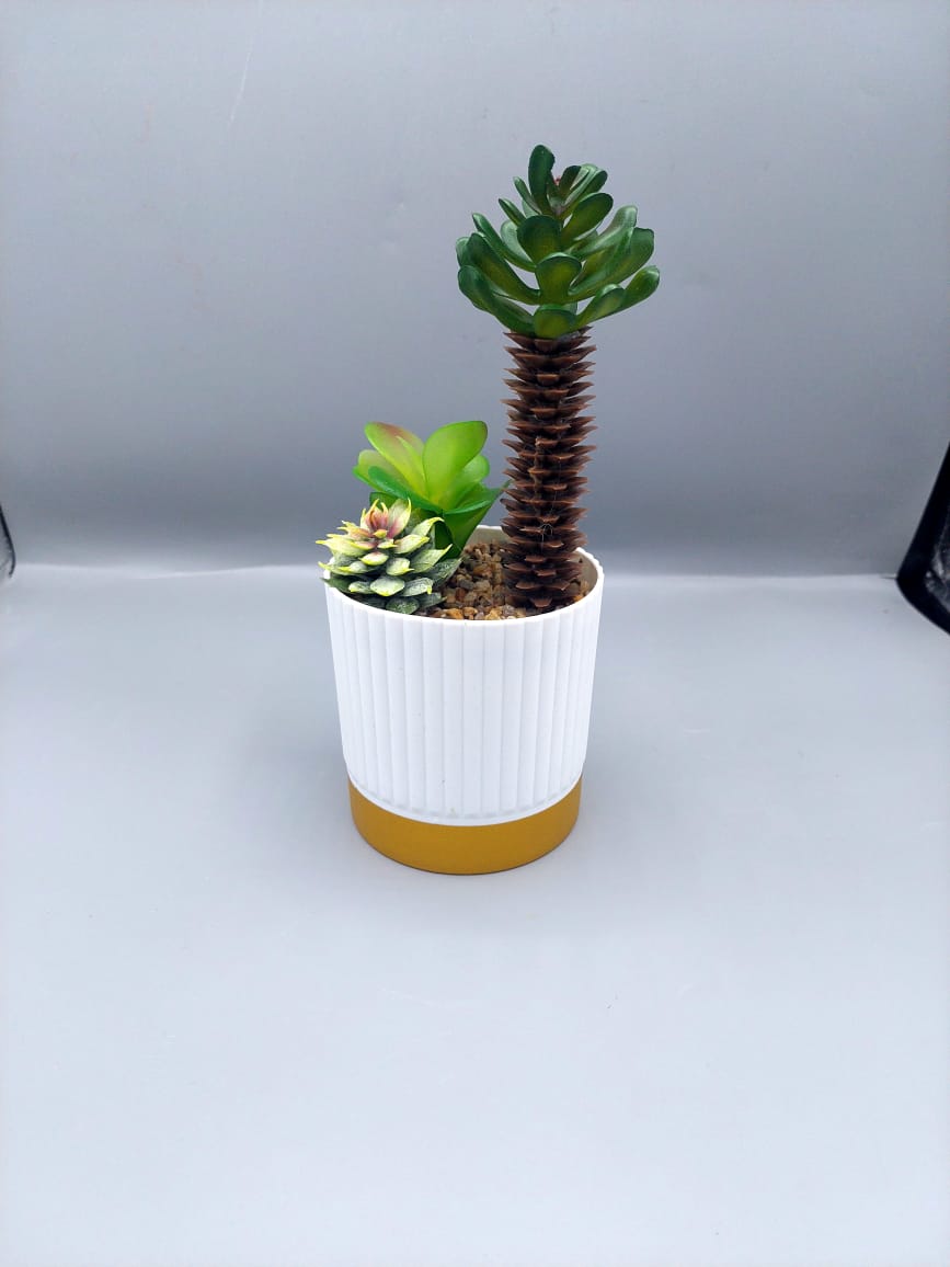 Ceramic plant pots