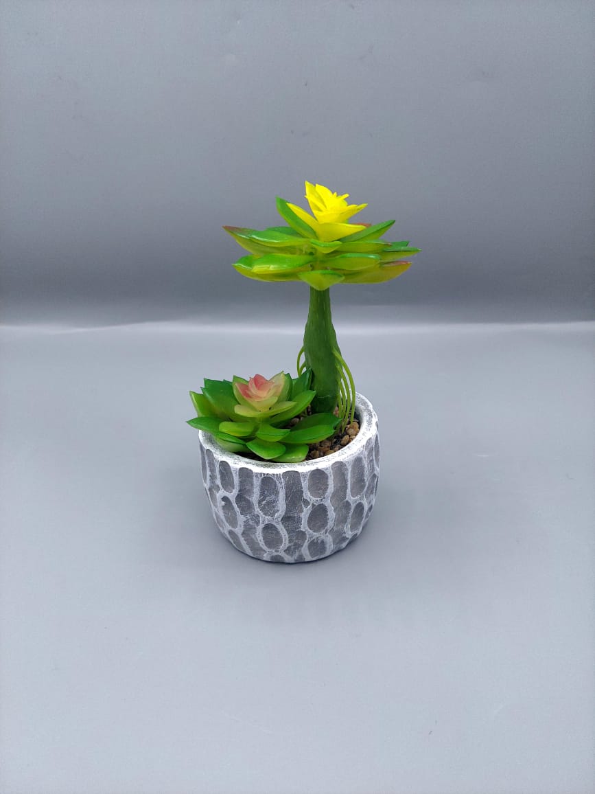 Ceramic plant pots