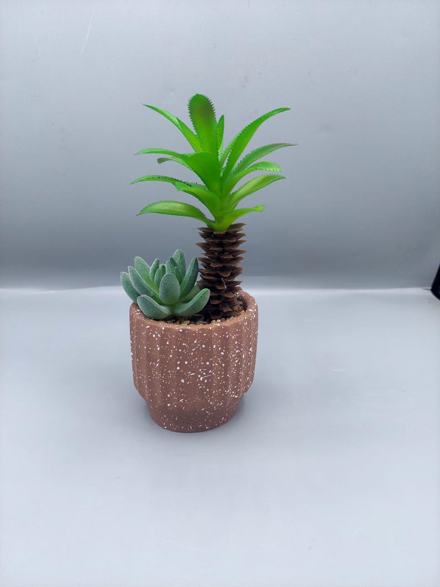 Ceramic plant pots